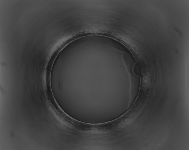 X0000090860678200708030948
