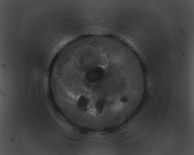 X0000090860679200708030948