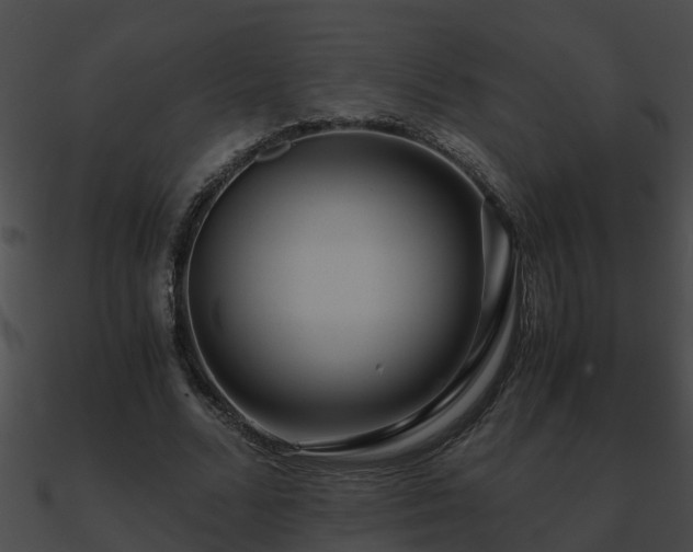 X0000090860680200708030948