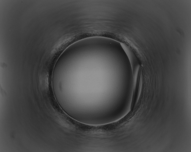 X0000090860685200708030948
