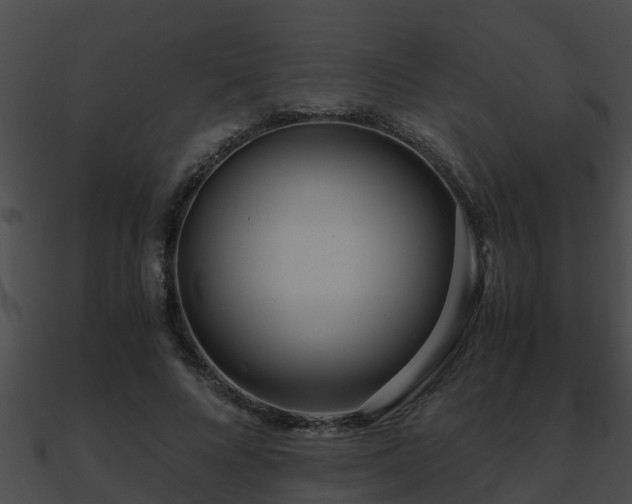 X0000090860688200708030948