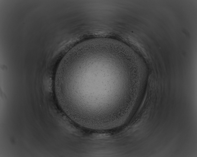 X0000090860689200708030948