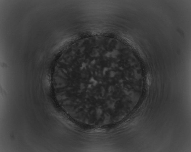 X0000090860691200708030948