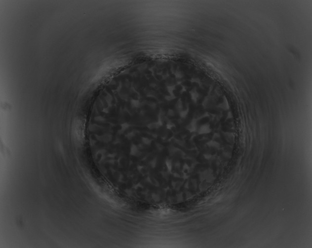 X0000090860695200708030948