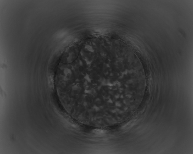 X0000090860699200708030948