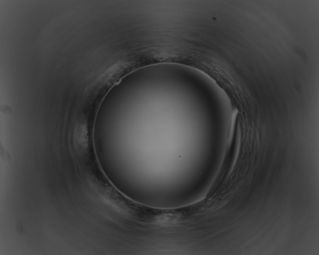 X0000090860700200708030948