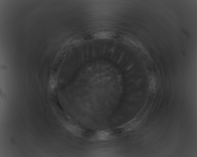 X0000090860701200708030948