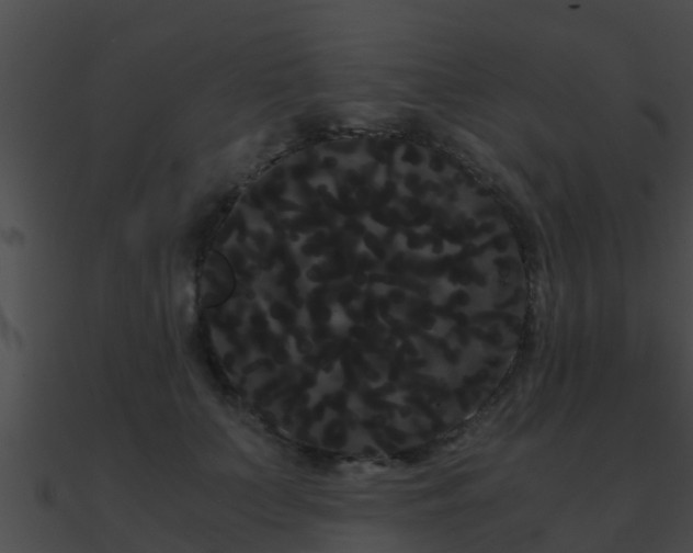 X0000090860703200708030948