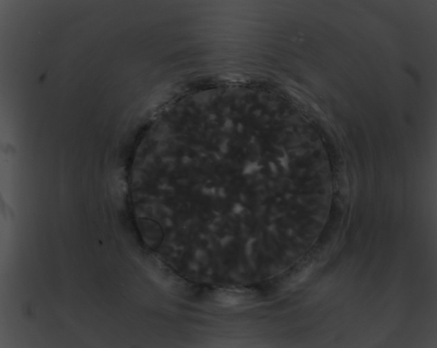 X0000090860707200708030948