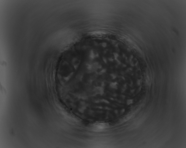X0000090860711200708030947