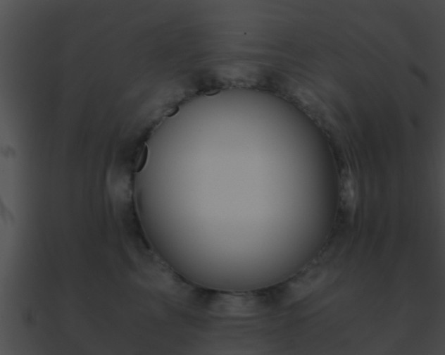 X0000090860713200708030947