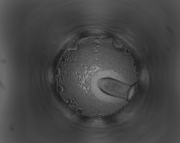 X0000090860715200708030947