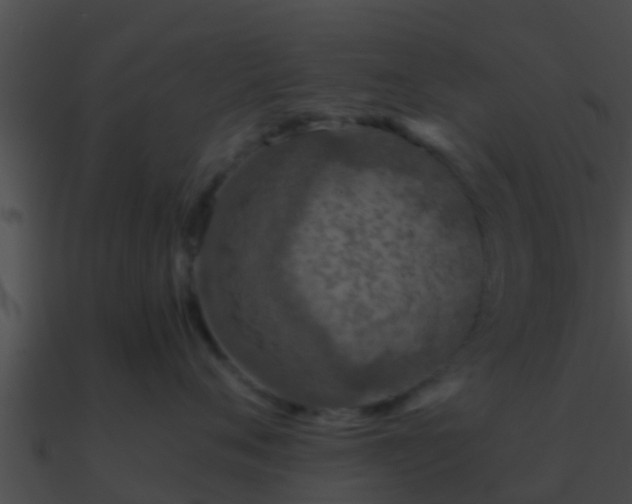 X0000090860720200708030947