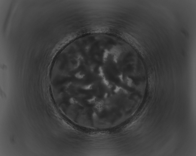 X0000090860721200708030947