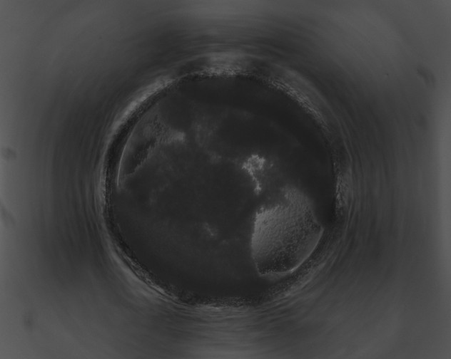 X0000090860722200708030947