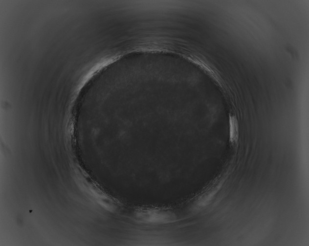 X0000090860723200708030947