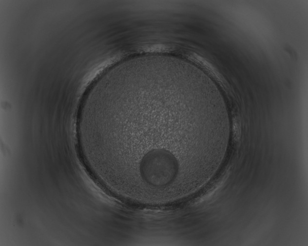 X0000090860725200708030947