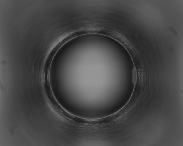 X0000090860726200708030947