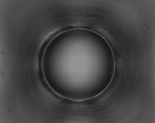 X0000090860727200708030947