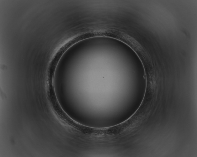 X0000090860728200708030947