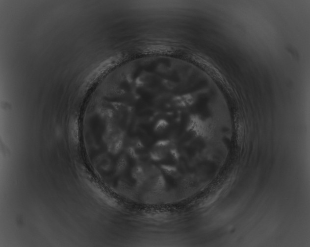 X0000090860729200708030947