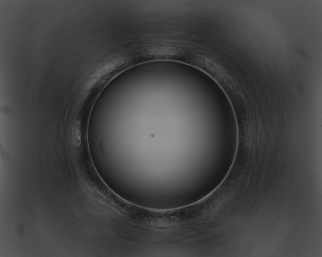 X0000090860731200708030947