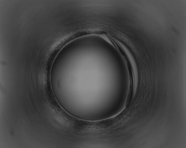 X0000090860732200708030947