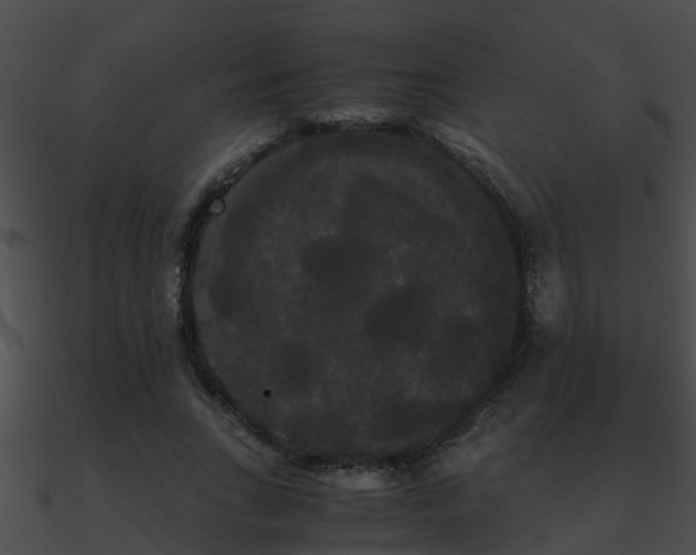 X0000090860735200708030947