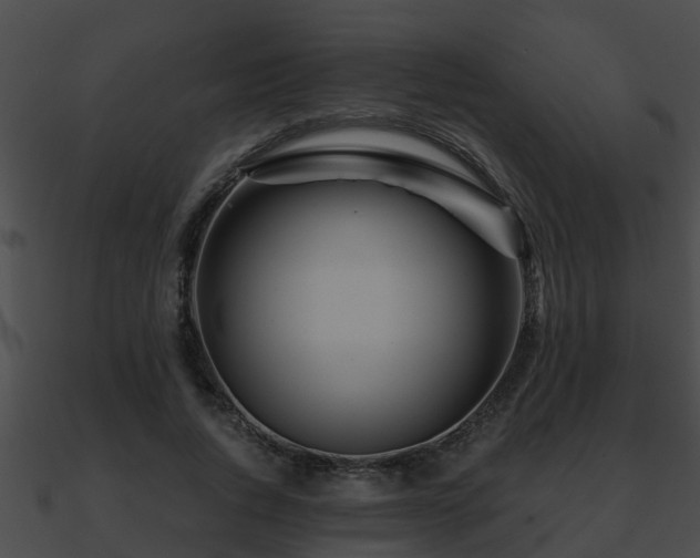 X0000090860736200708030947