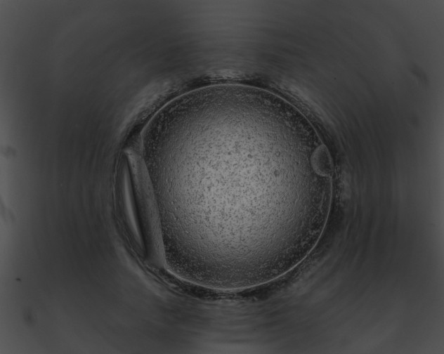 X0000090860738200708030947