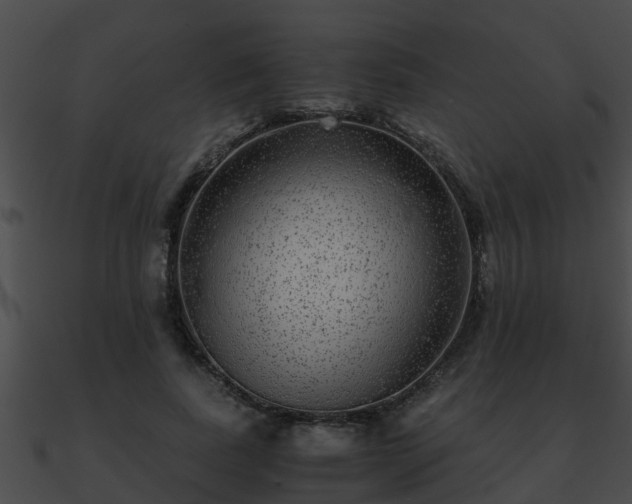 X0000090860739200708030947