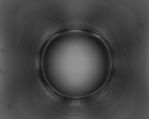 X0000090860740200708030947