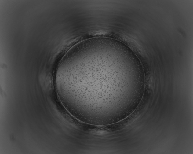 X0000090860743200708030947