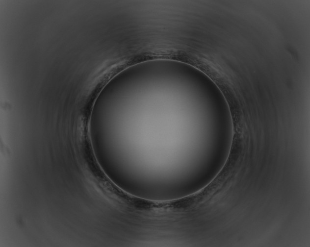 X0000090860744200708030947