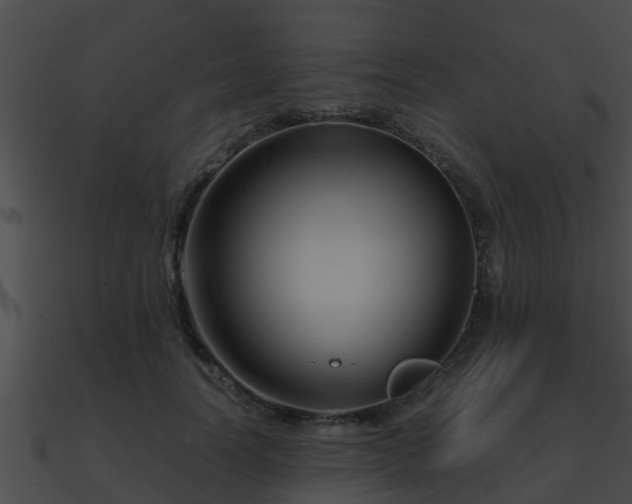 X0000090860746200708030947