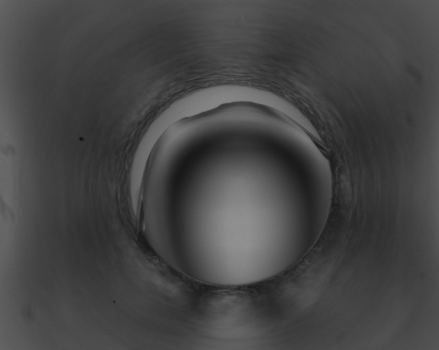 X0000090860750200708030947