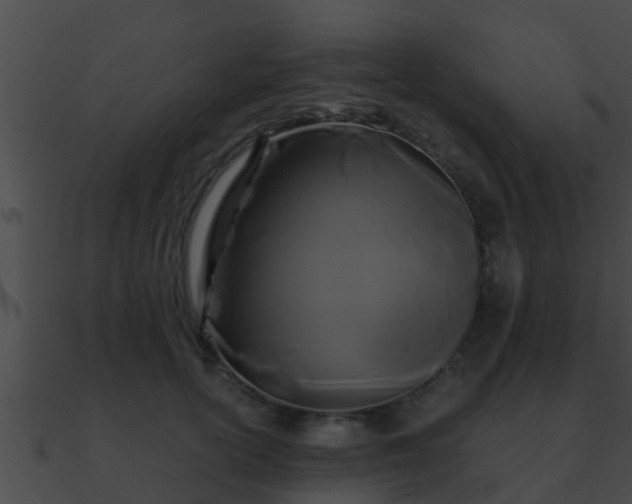 X0000090860754200708030947