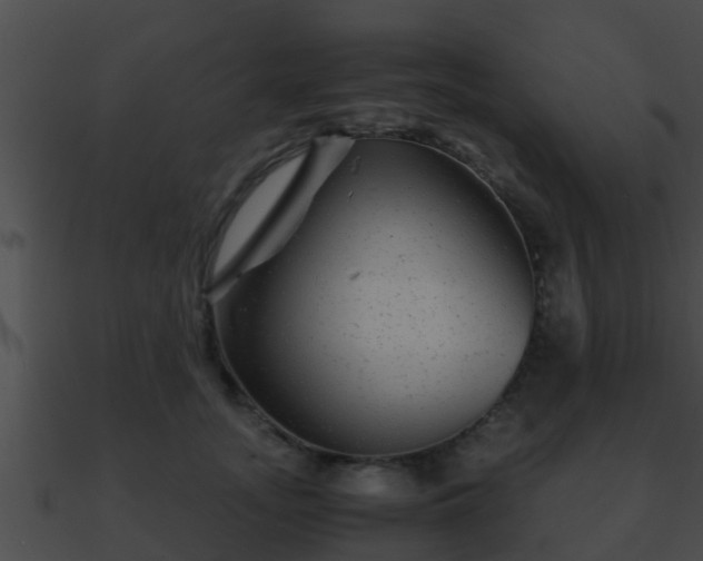 X0000090860755200708030947