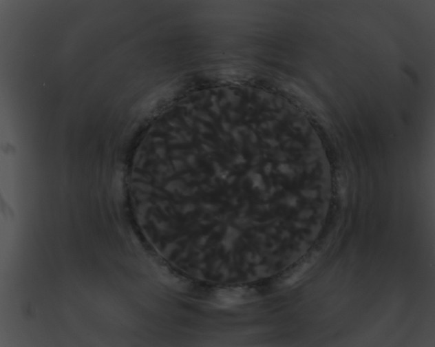 X0000090860757200708030947