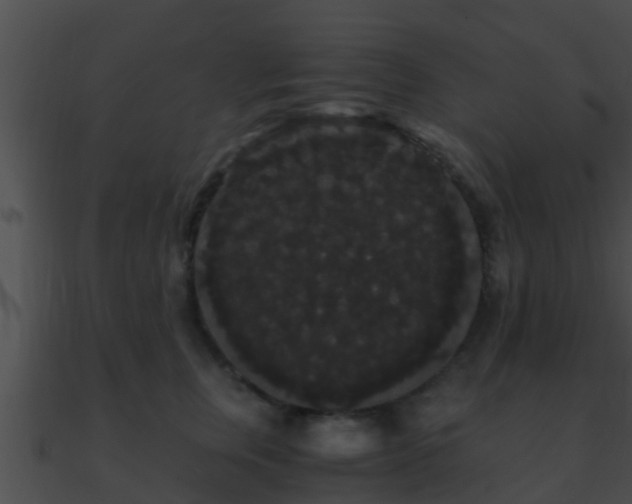 X0000090860759200708030947