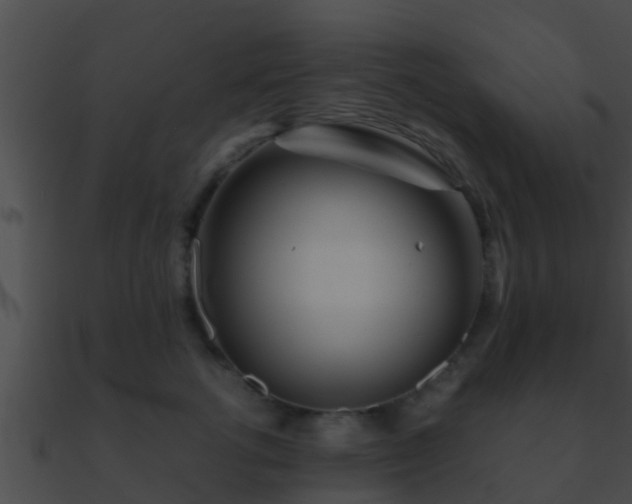 X0000090860762200708030947