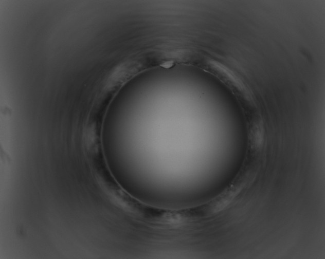 X0000090860764200708030947