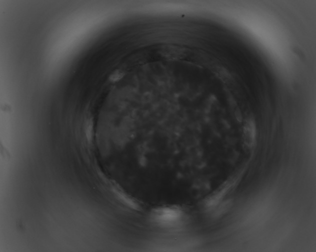 X0000090860765200708030947