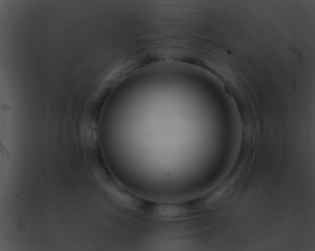 X0000090860766200708030947