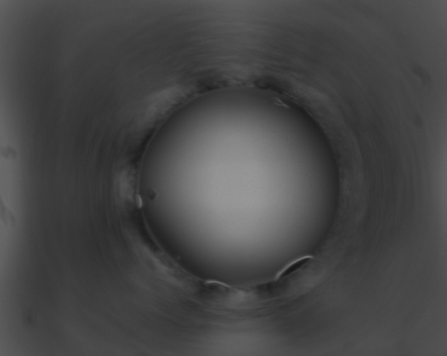 X0000090860768200708030947