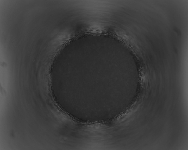 X0000090860769200708030947