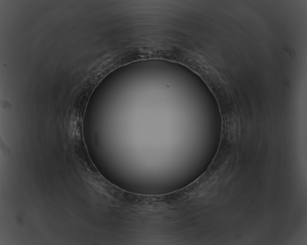 X0000090860770200708030947