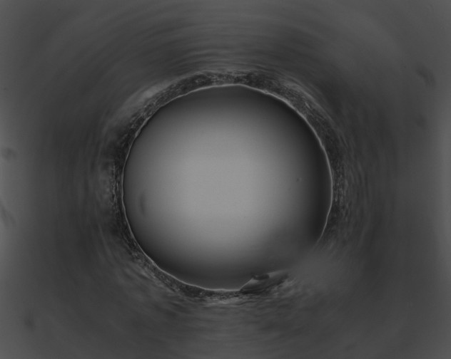 X0000090860773200708030947
