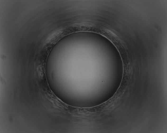 X0000090860774200708030947