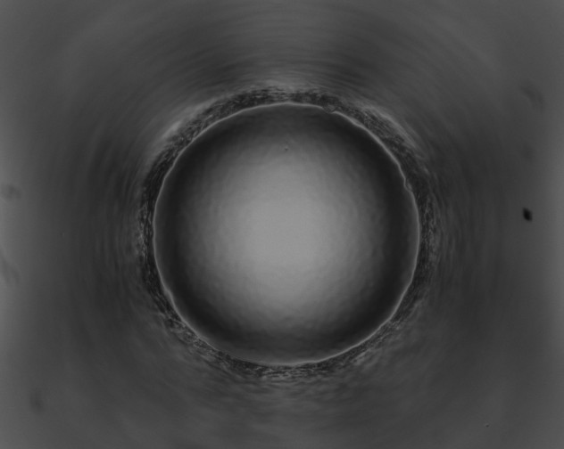 X0000090860776200708030947